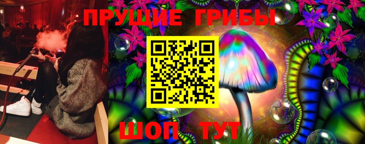 Горячий Ключ  Галлюциногенные грибы Psilocybe  Галлюциногенные грибы Psilocybe  Вход с VPN 