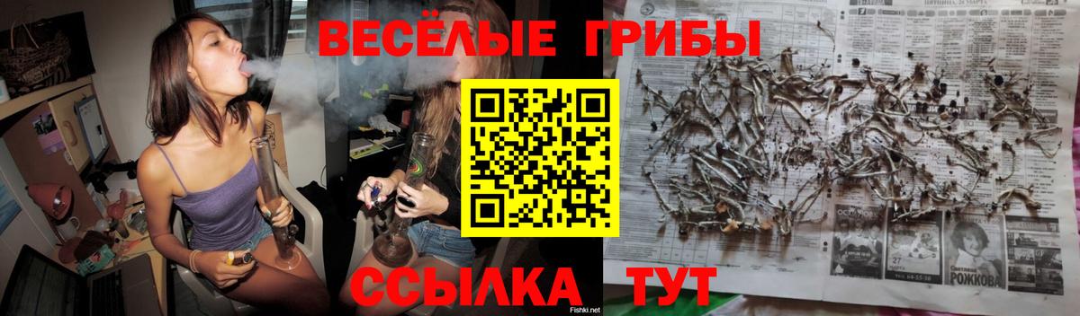 Галлюциногенные грибы прущие грибы Горячий Ключ